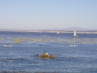 Enlarge photo 25