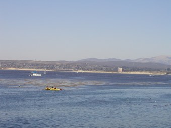 Enlarge photo 28