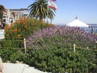 Enlarge photo 31