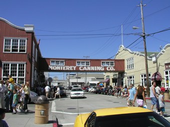 Enlarge photo 33