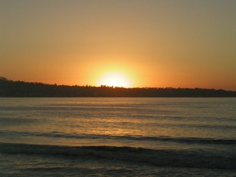 Enlarge photo 52