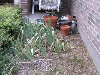 Enlarge photo 6