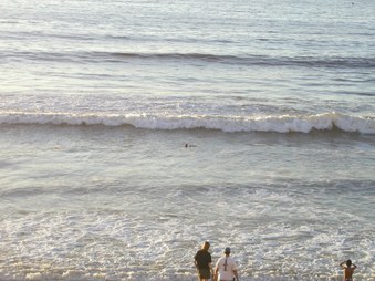 Enlarge photo 39