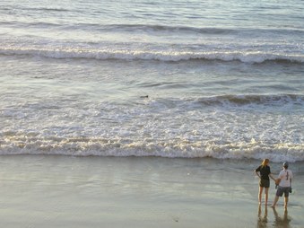 Enlarge photo 40