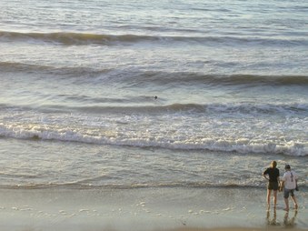 Enlarge photo 41