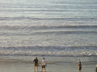 Enlarge photo 42