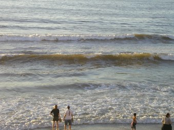 Enlarge photo 43