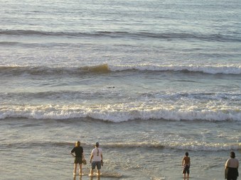 Enlarge photo 44