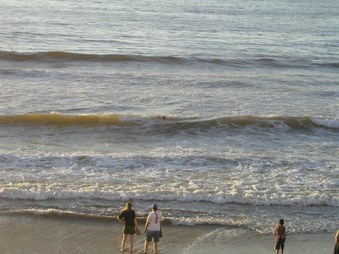 Enlarge photo 45