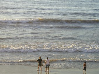 Enlarge photo 46