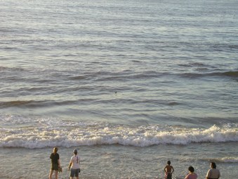 Enlarge photo 47