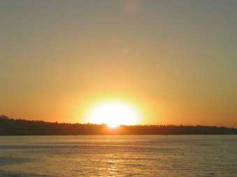 Enlarge photo 49