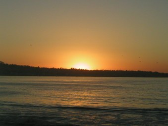 Enlarge photo 53