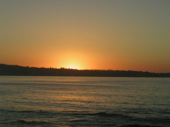 Enlarge photo 54