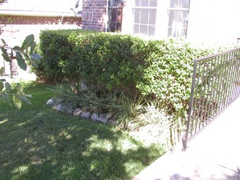 Enlarge photo 55