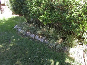 Enlarge photo 59