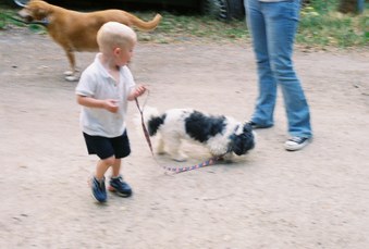Enlarge photo 143