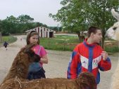 Enlarge photo 23