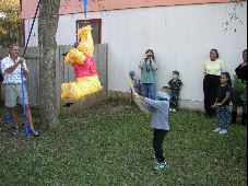 Enlarge photo 14
