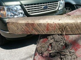 Enlarge photo 42