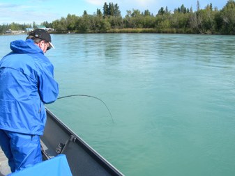 Enlarge photo 42