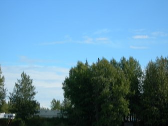 Enlarge photo 46