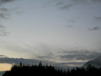 Enlarge photo 61