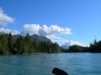 Enlarge photo 71