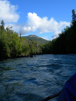 Enlarge photo 74