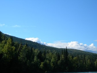 Enlarge photo 75