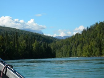 Enlarge photo 76
