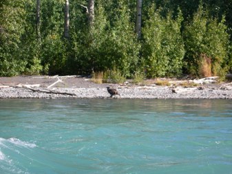 Enlarge photo 81