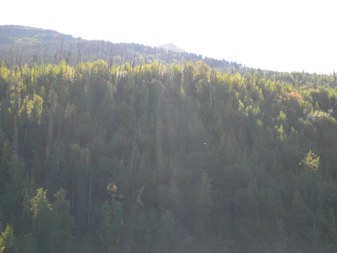 Enlarge photo 82