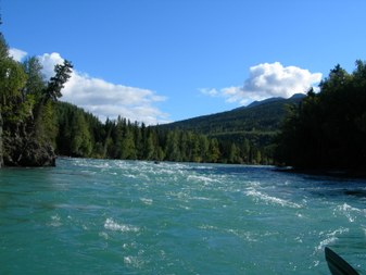 Enlarge photo 85