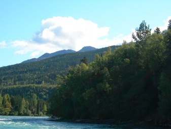 Enlarge photo 86