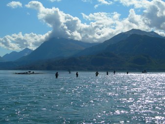 Enlarge photo 97