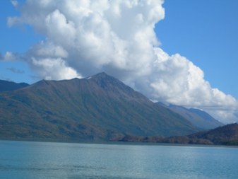 Enlarge photo 103