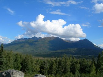 Enlarge photo 111