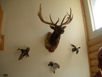 Enlarge photo 114