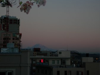 Enlarge photo 134