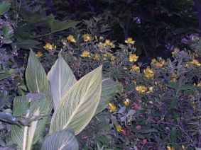 Enlarge photo 10