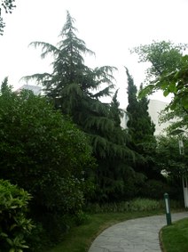 Enlarge photo 11