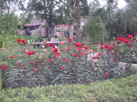 Enlarge photo 15