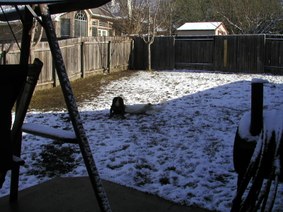 Snow on Valentine's Day - Austin 2004