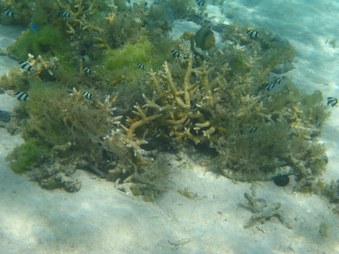 Enlarge photo 3