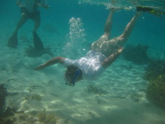 Enlarge photo 8