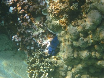Enlarge photo 47