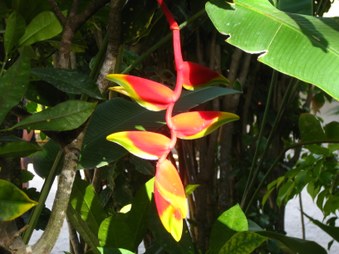 Enlarge photo 49