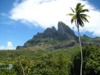 Enlarge photo 25