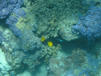 Enlarge photo 27